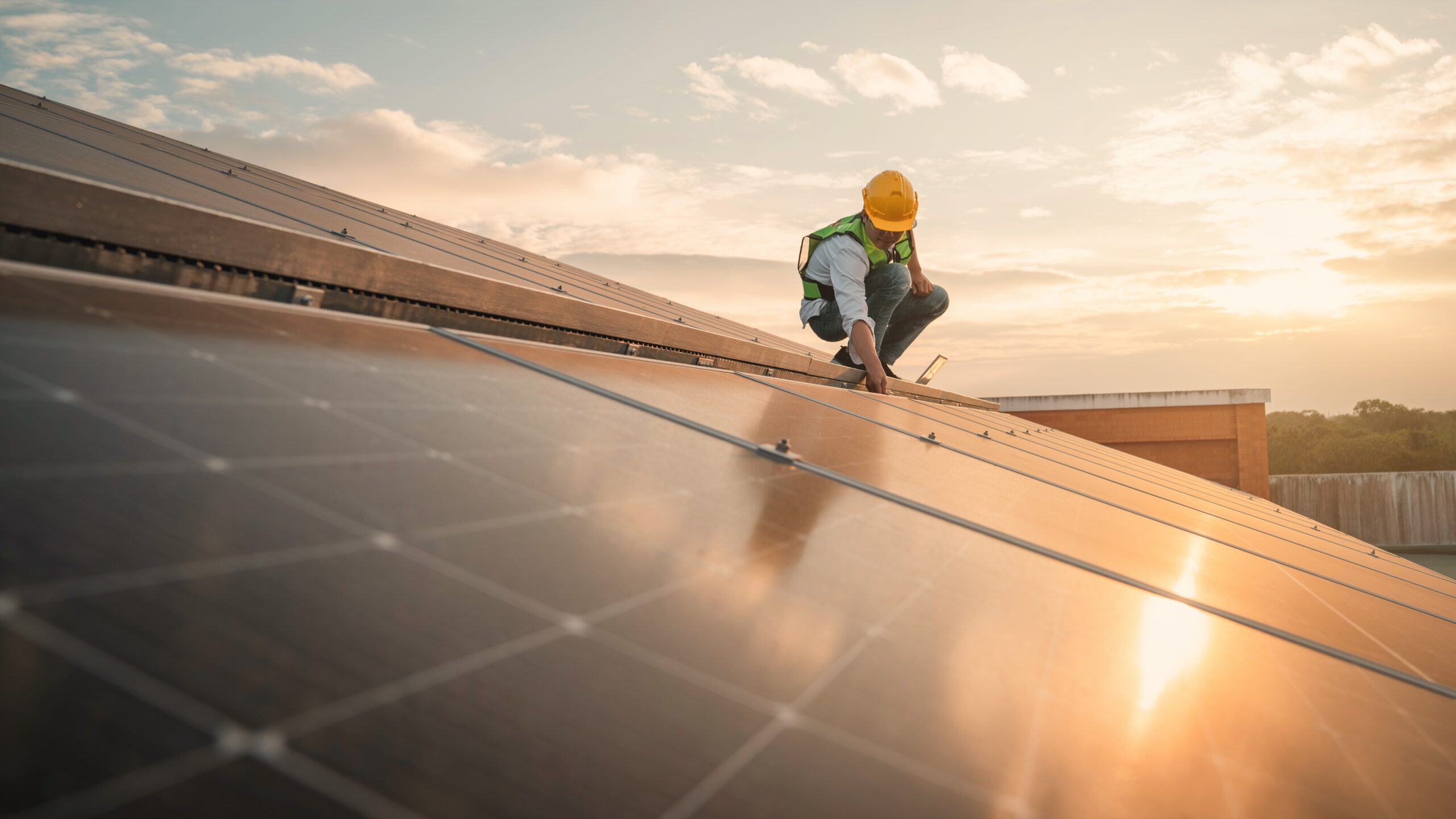 Paneles solares y otras fuentes de energía renovable, una realidad que no para de crecer