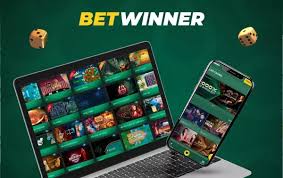 Experience the Thrill of BetWinner Live Casino 1984553644